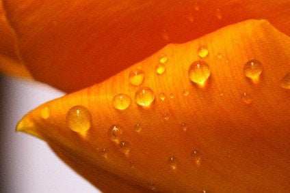 Špičková povrchová úprava